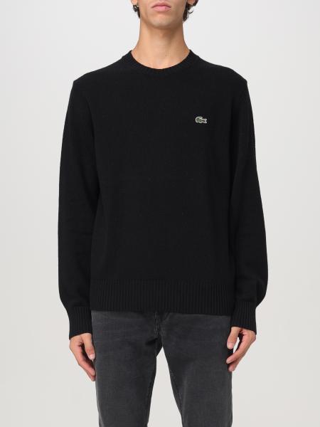 Jumper men Lacoste