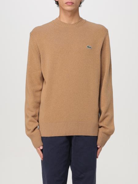 Jumper men Lacoste