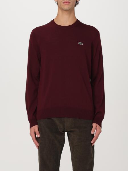 Men's Lacoste: Sweater man Lacoste