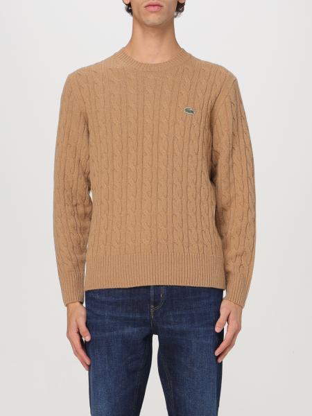 Jumper men Lacoste