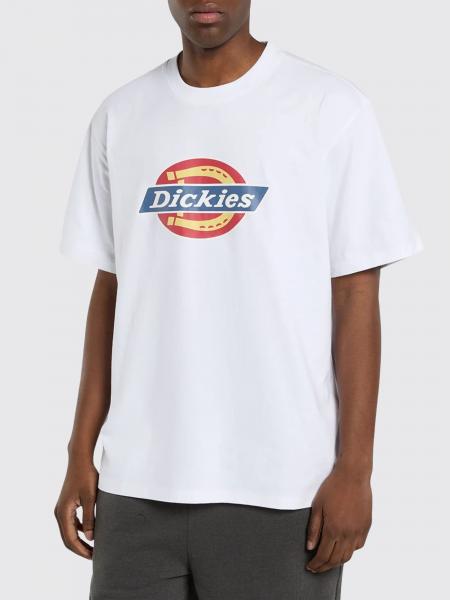 Jeans men Dickies