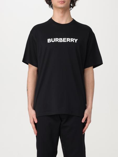 Tシャツ・カットソー Burberry SS25 Shirts (8104071) Burberry Wordmark T-shirt Celadon Heather Multi Men's - SS25