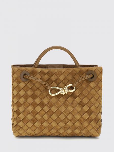 Bottega Veneta Andiamo Small Intrecciato Calf Leather Handbag