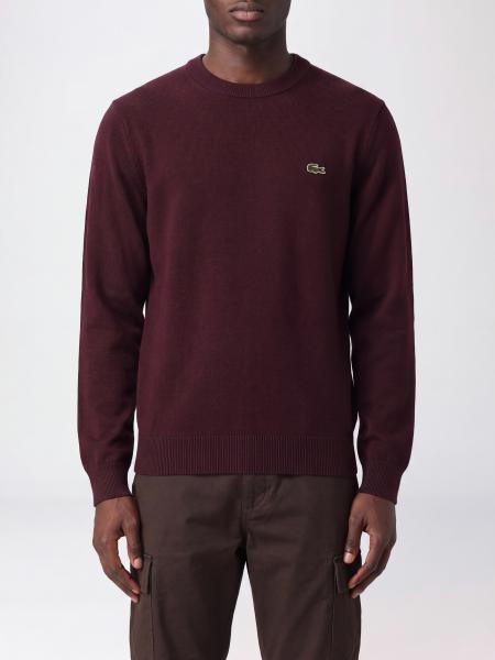 毛衣 男士 Lacoste