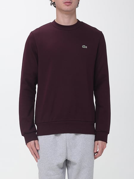 Pullover herren Lacoste