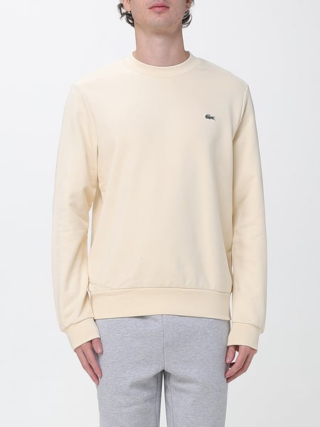 Pullover herren Lacoste