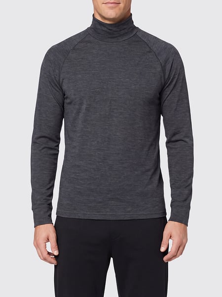 Sweater men Houdini