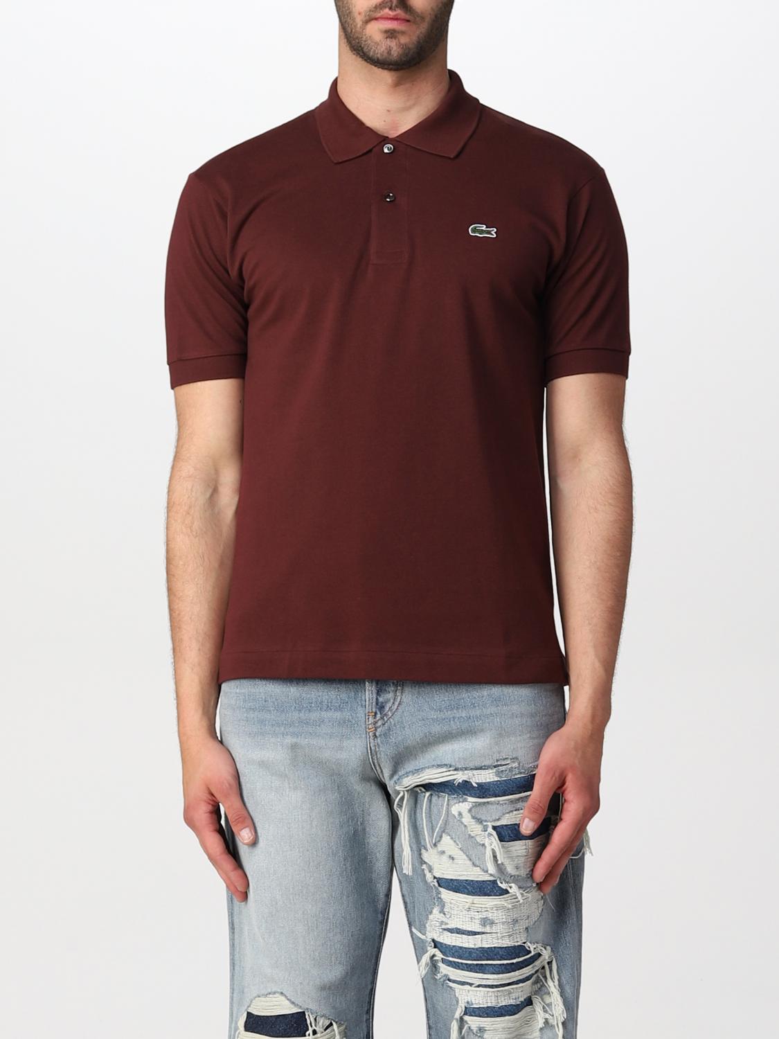 LACOSTE POLO: Polo básico Lacoste con logo, Marrón - Img 1
