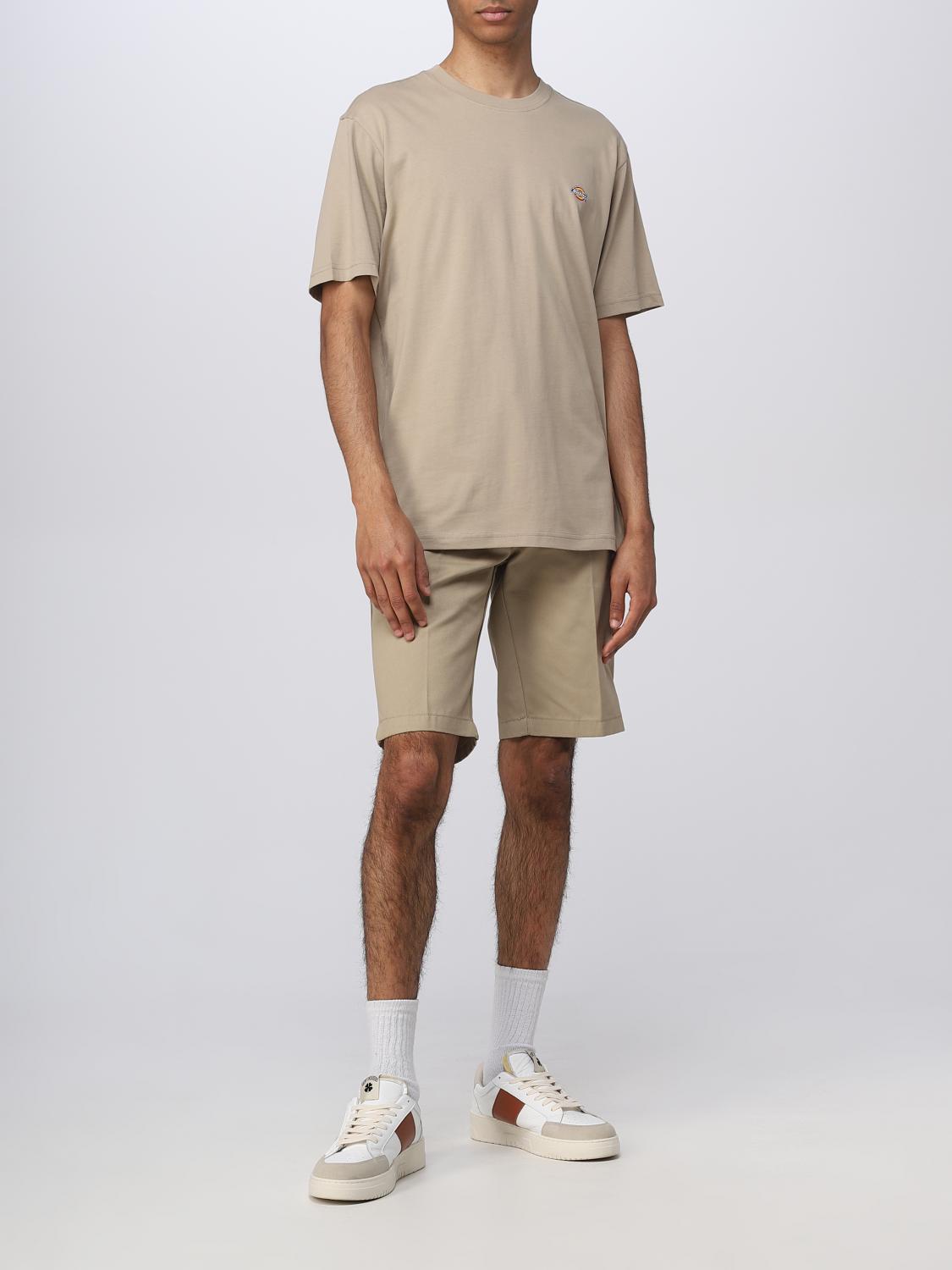 DICKIES T-SHIRT: T-shirt Mapleton Dickies in cotone, Sabbia - Img 2