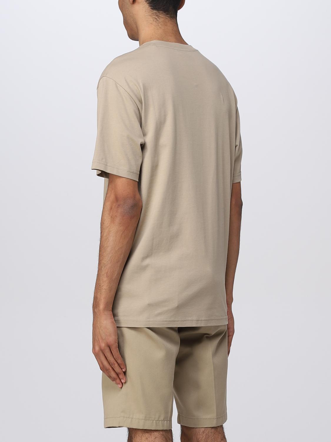 DICKIES T-SHIRT: T-shirt Mapleton Dickies in cotone, Sabbia - Img 3