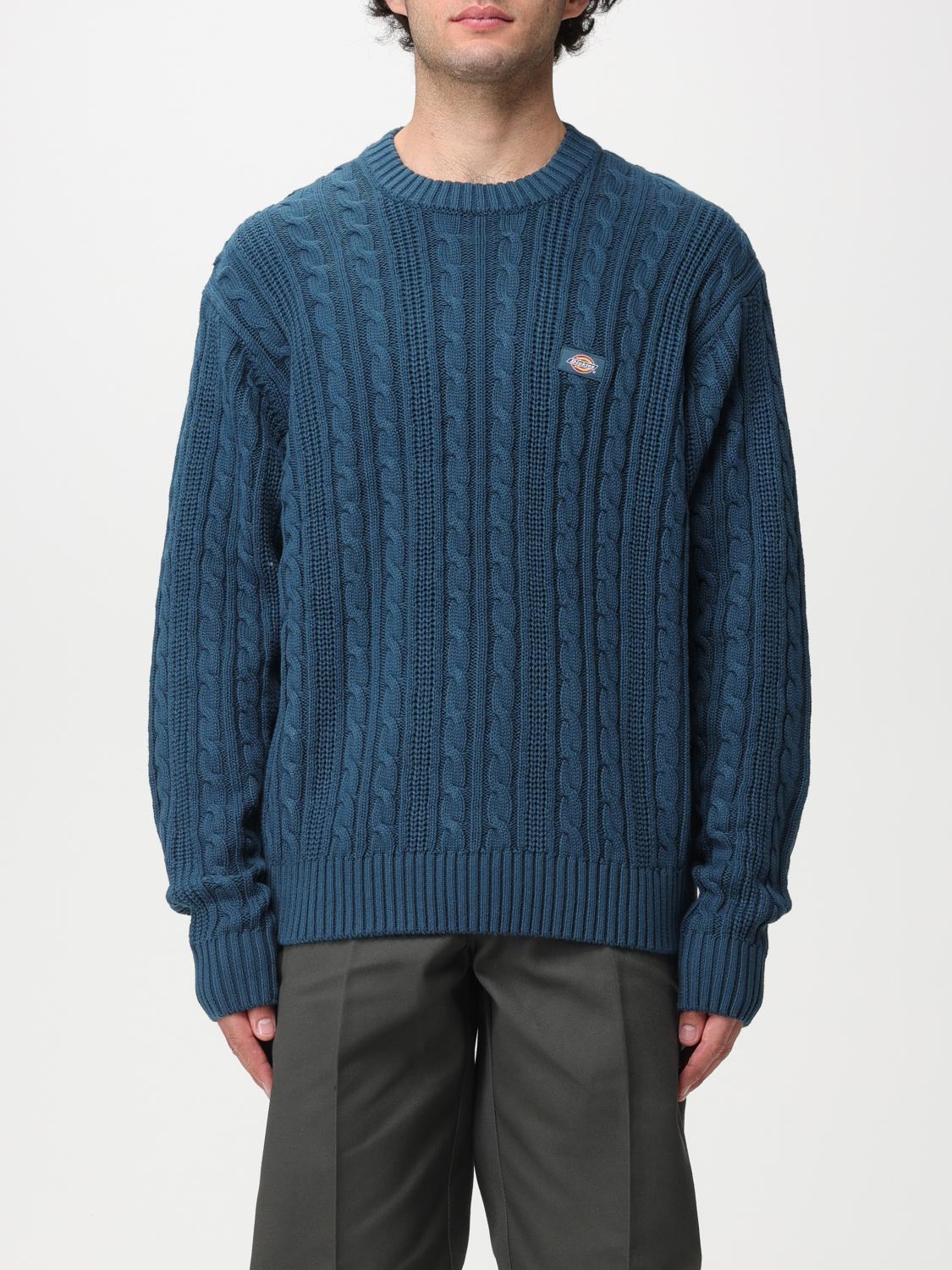 Sweaters blauw Dickies main image 0