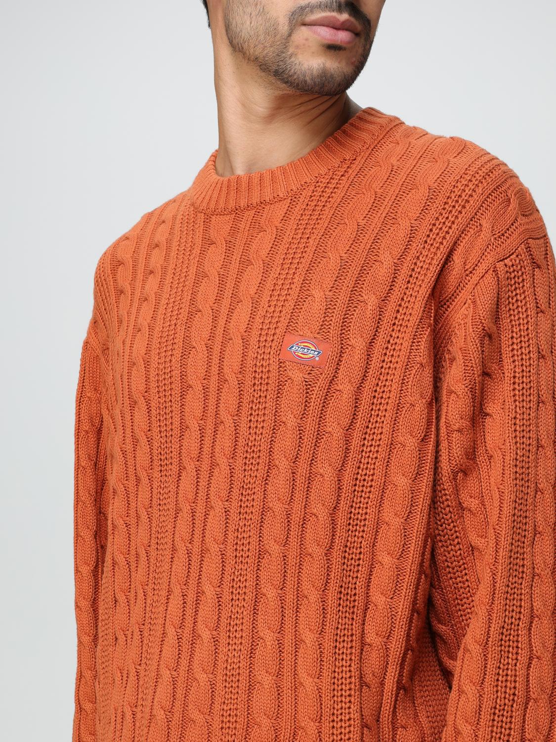 DICKIES SWEATER: Sweater men Dickies, Brown - Img 3