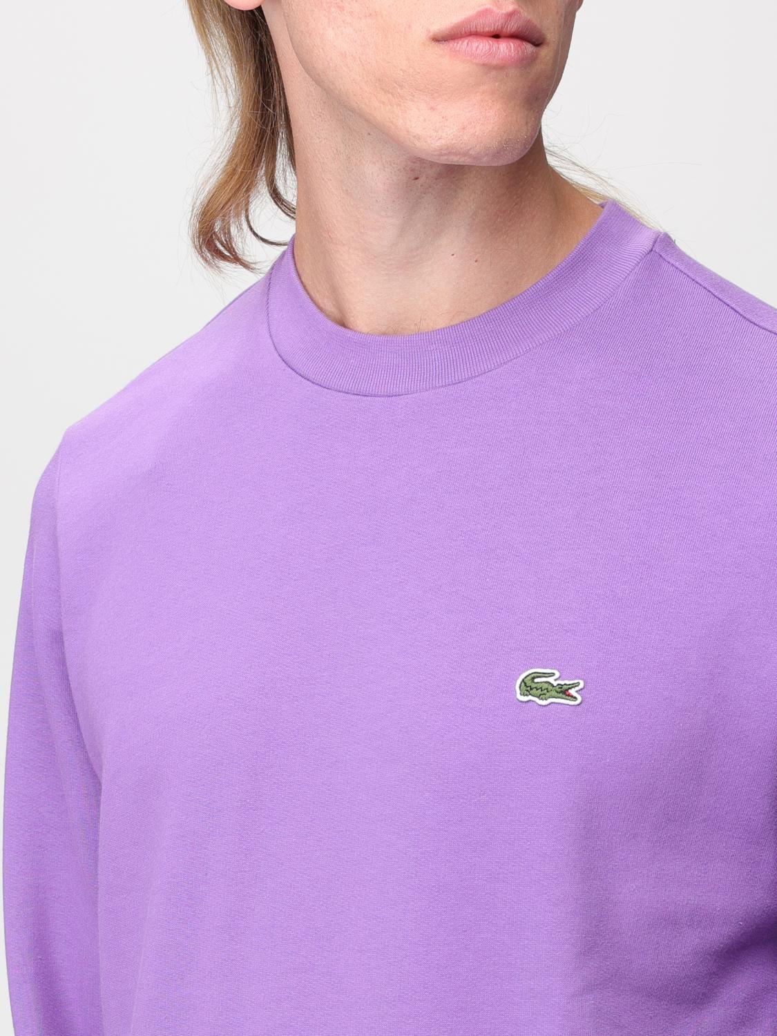 LACOSTE SWEATSHIRT: Sweatshirt herren Lacoste, Violett - Img 3