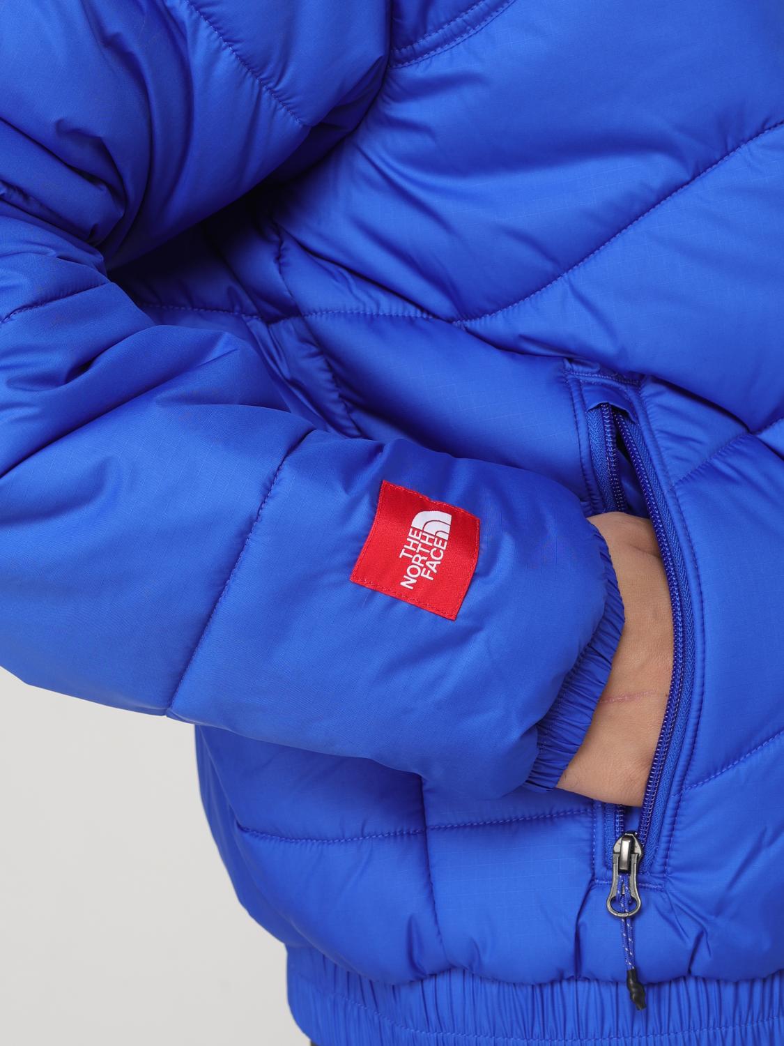 THE NORTH FACE VESTE: Veste homme The North Face, Bleu Royal - Img 4