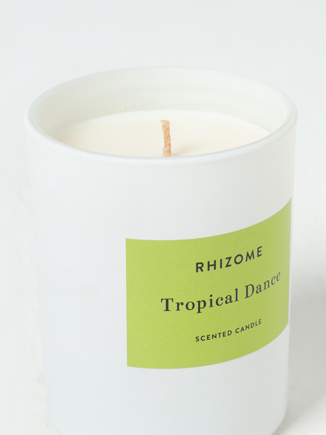 RHIZOME CANDLES AND FRAGRANCES: Candles and fragrances lifestyle Rhizome, 印花/多色 - Img 2