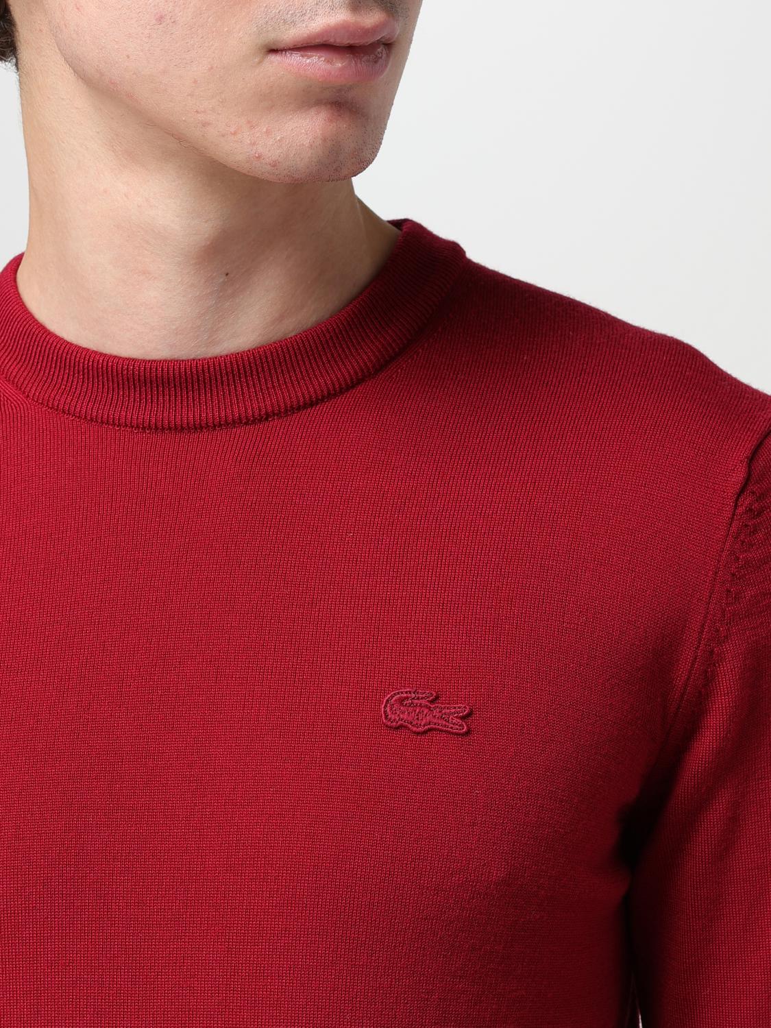 LACOSTE PULL: Pull homme Lacoste, Bordeaux - Img 3