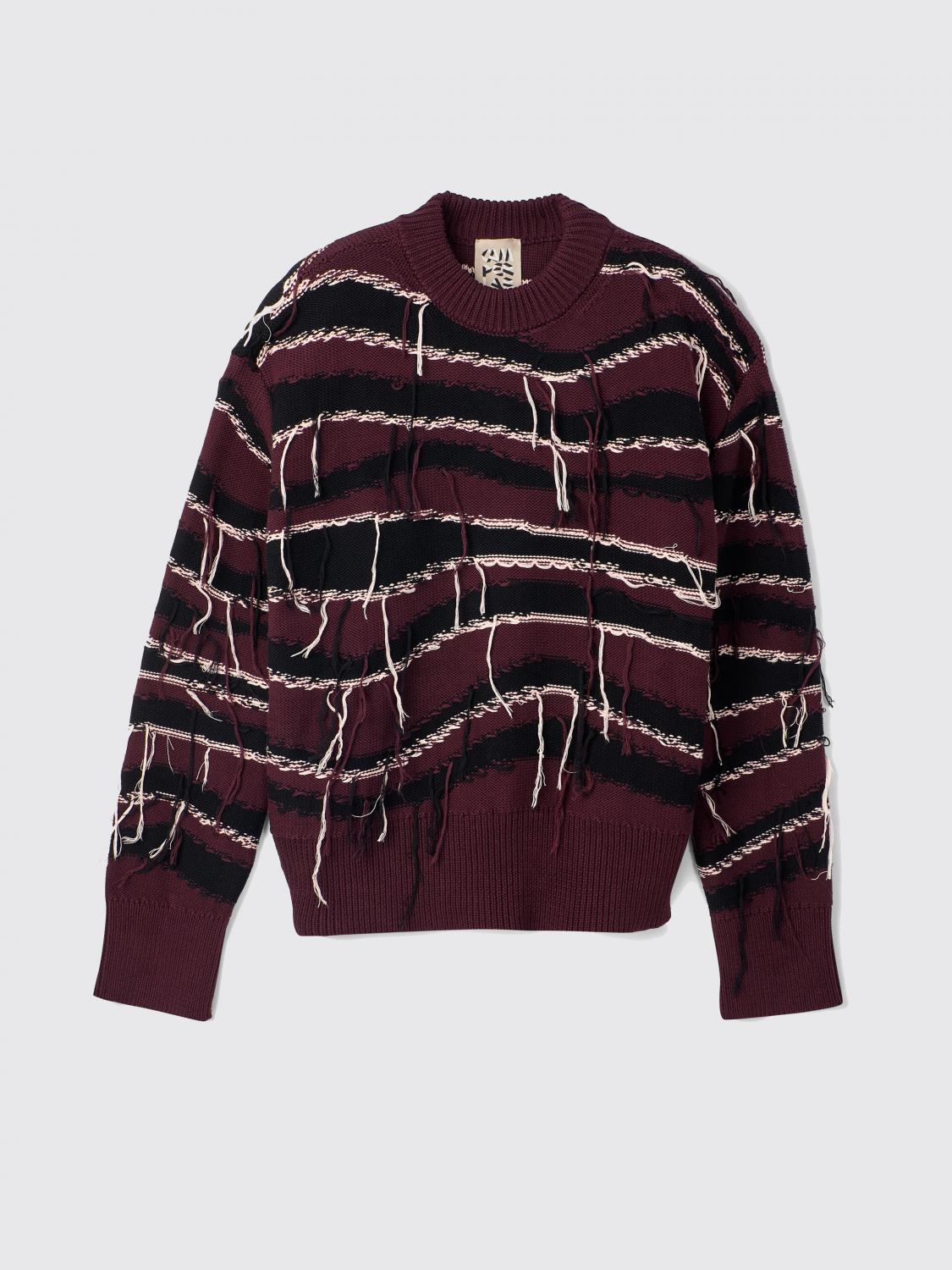CAMPER PULLOVER: Camper Pullover aus Bio-Baumwolle, Braun - Img 2