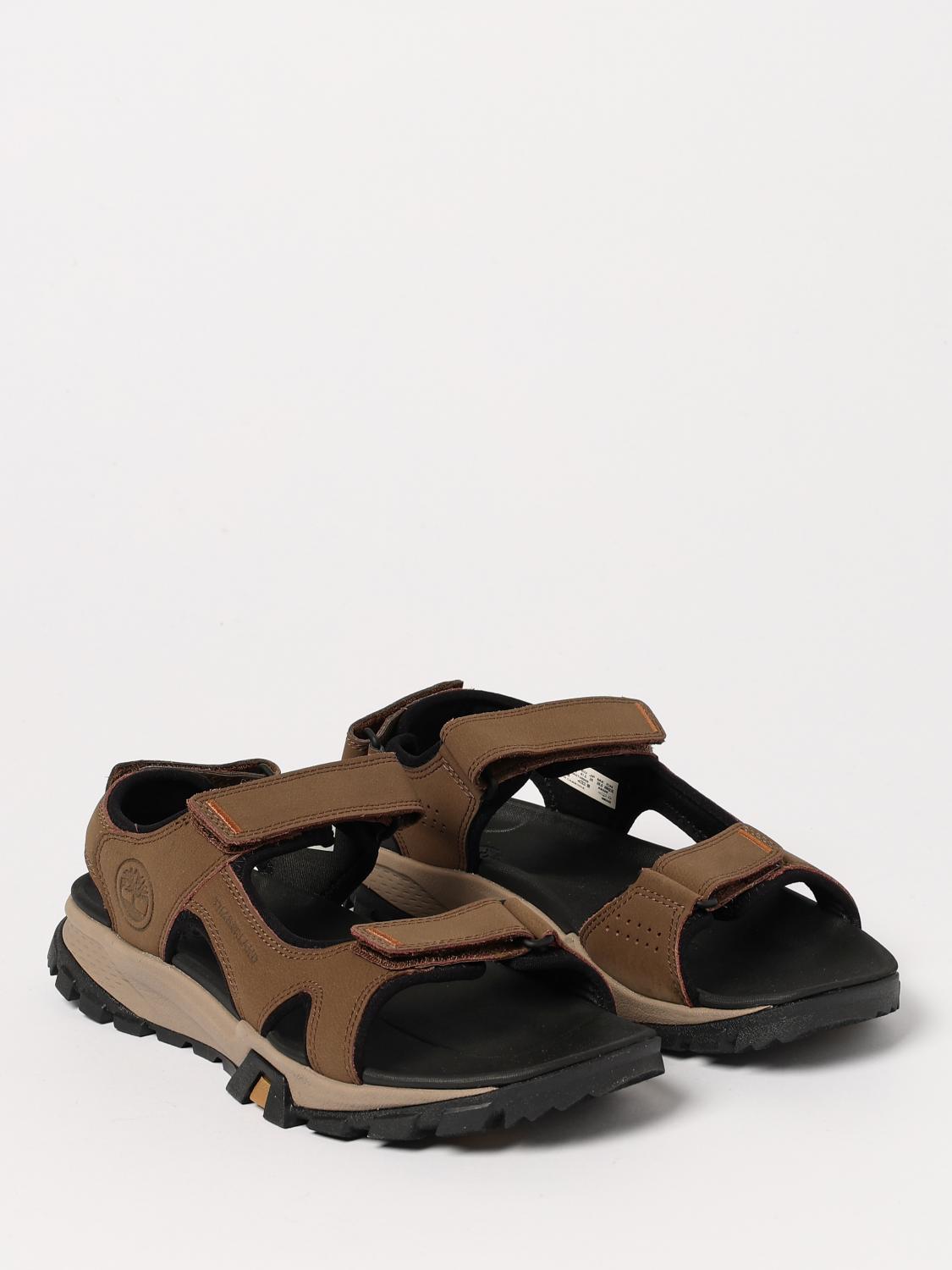 TIMBERLAND SANDALE: Sandales homme Timberland, Marron - Img 2