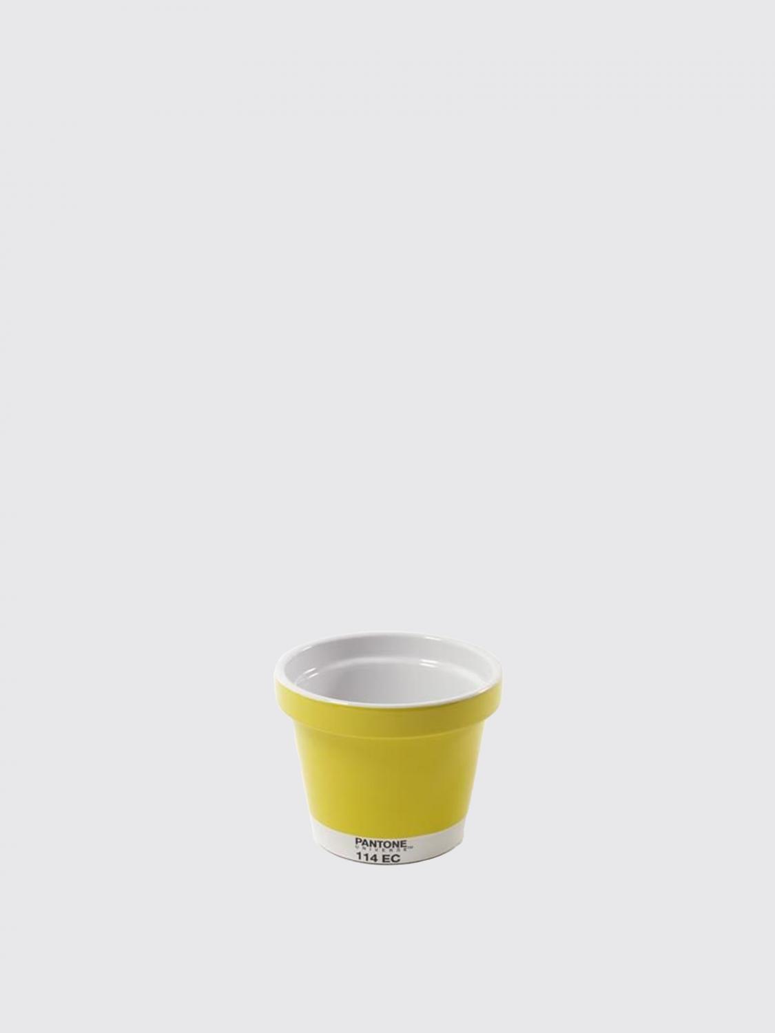 SERAX DECORATIVE ACCESSORIES: Decorative accessories lifestyle Serax, Yellow - Img 1