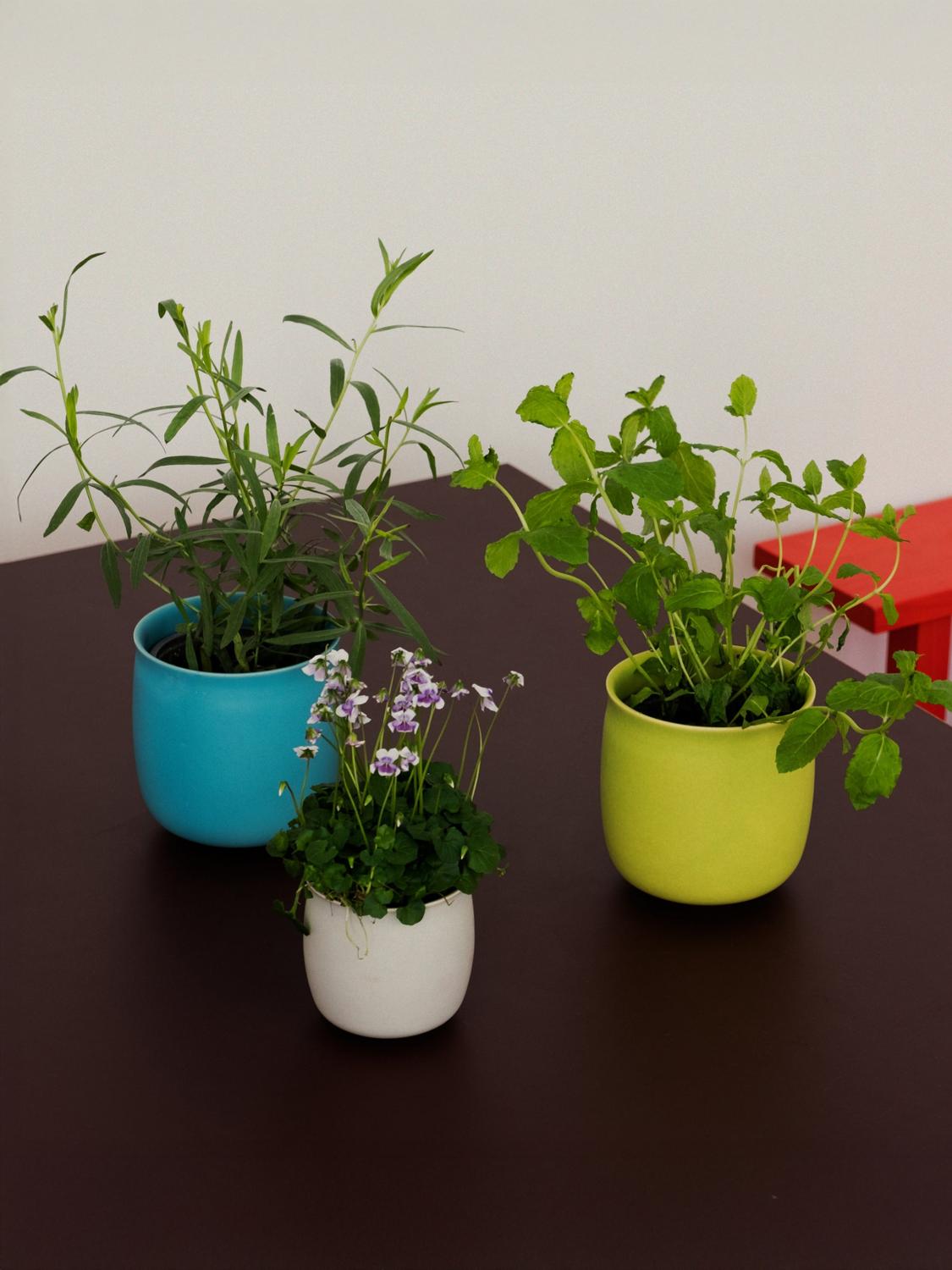 RAAWII VASI: Vaso Alev Raawii in ceramica , Azzurro - Img 2