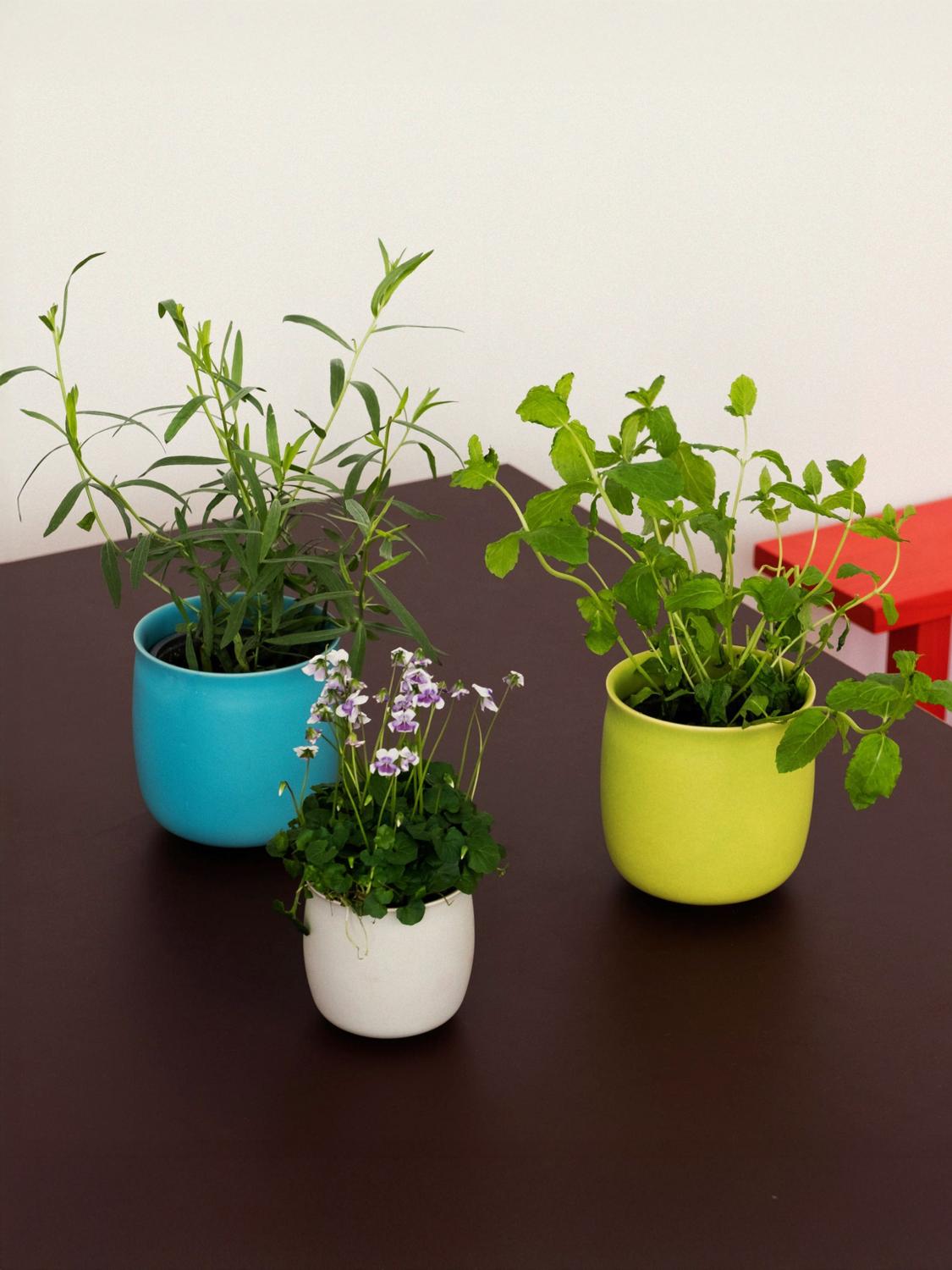 RAAWII VASES: Vases lifestyle Raawii, Vert - Img 2