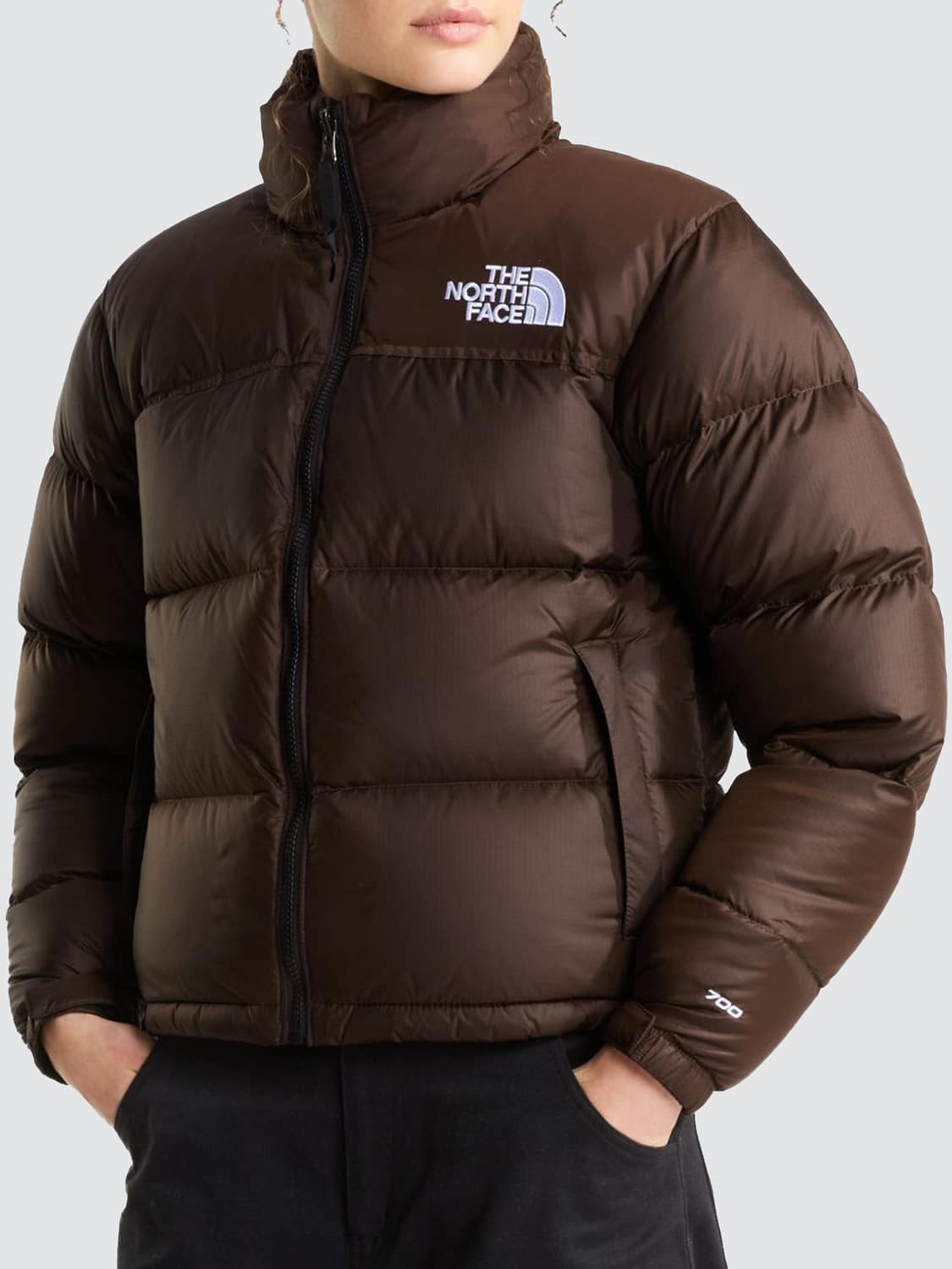 THE NORTH FACE GIACCA: Piumino 1996 Retro Nuptse The North Face in nylon trapuntato idrorepellente, Ebano - Img 3