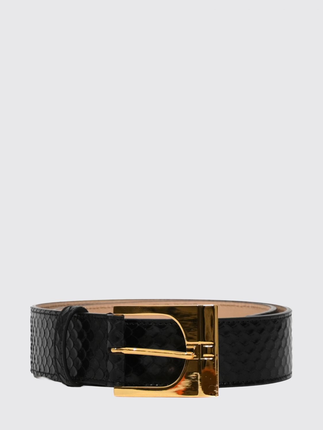 ELISABETTA FRANCHI CINTURÓN: Cinturón mujer Elisabetta Franchi, Negro - Img 1