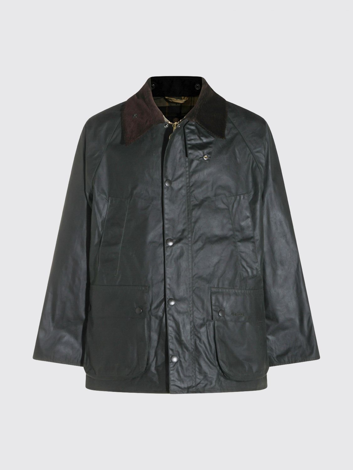 BARBOUR CHAQUETA: Chaqueta OS Bedale de Barbour de algodón encerado con cuello de terciopelo, Verde Salvia - Img 2