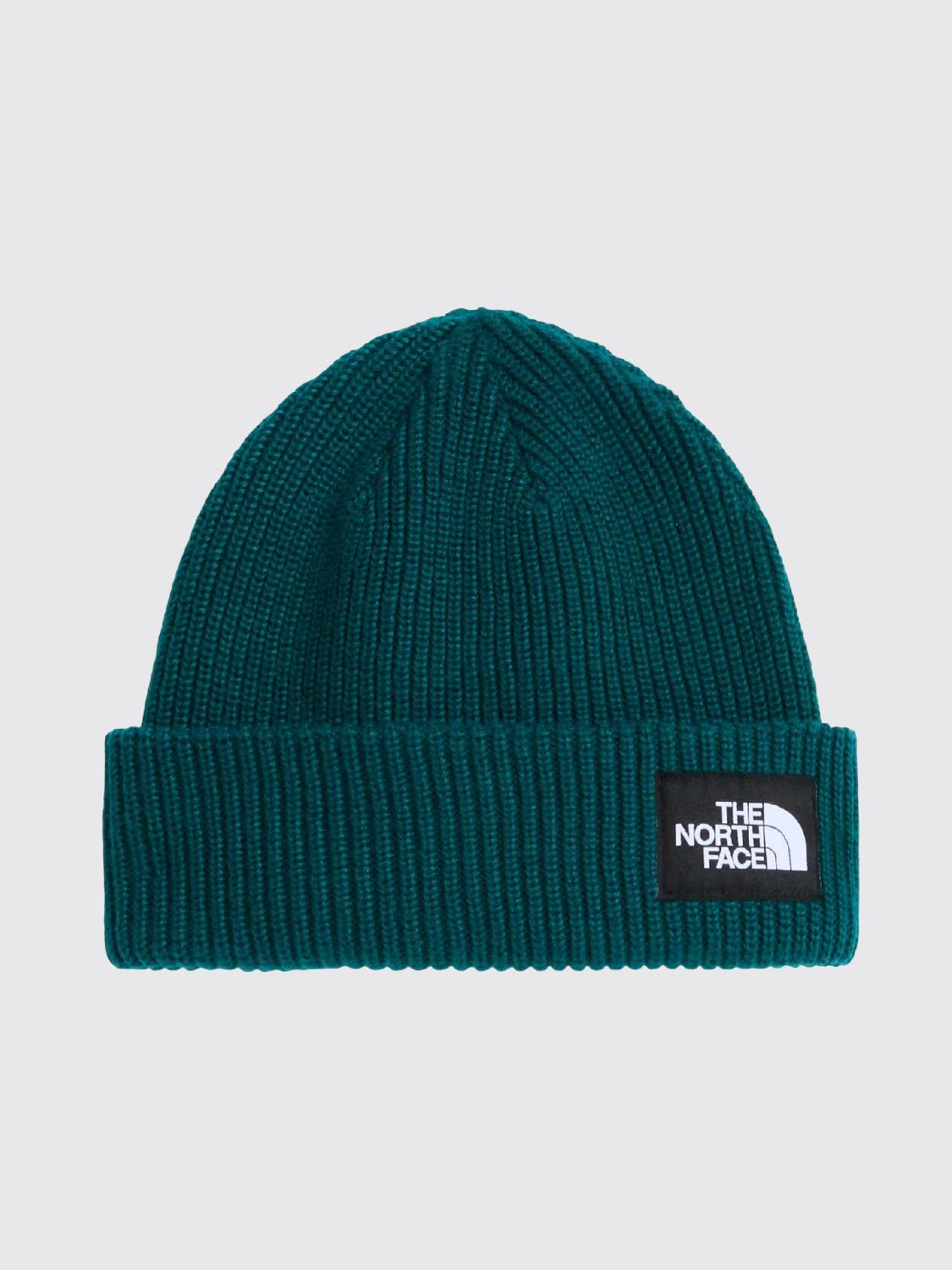 THE NORTH FACE HAT: Salty Lined Ribbed Beanie The North Face with Inner Lining and Logo, Green - Img 1