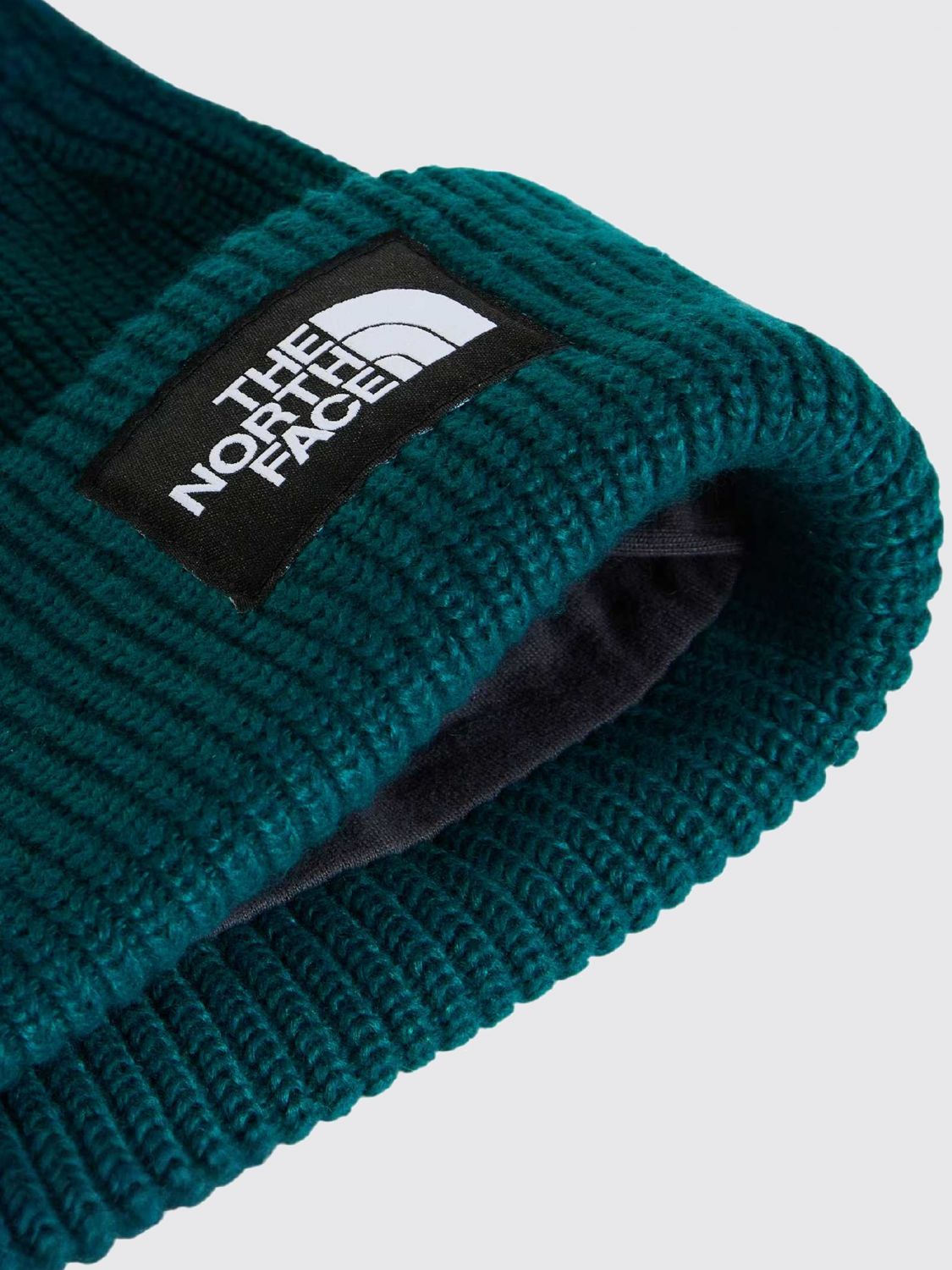 THE NORTH FACE HAT: Salty Lined Ribbed Beanie The North Face with Inner Lining and Logo, Green - Img 2