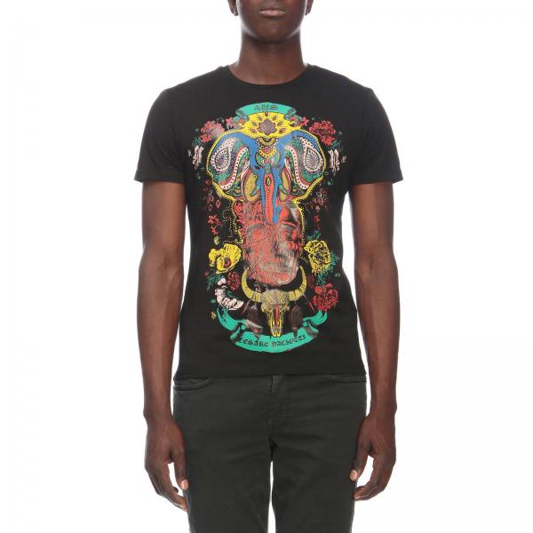 paciotti t shirt