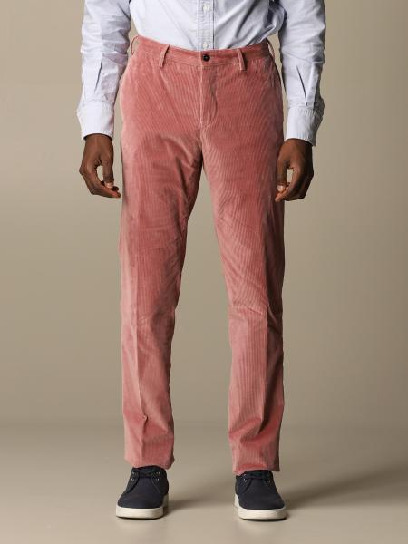 velvet pink pants