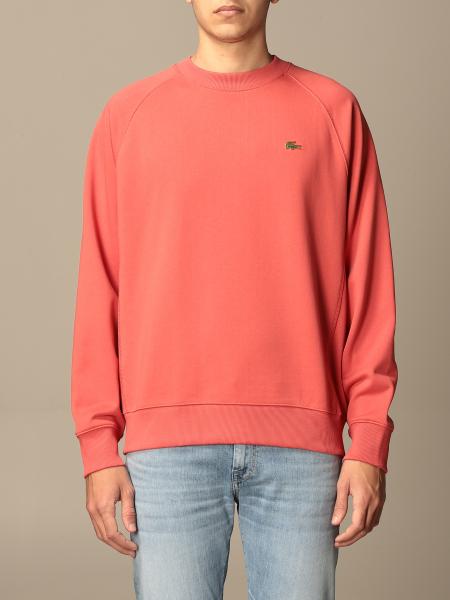 lacoste sweatshirt india