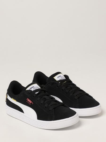 rocco the raccoon puma