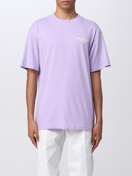 T-shirt Dickies con stampa grafica