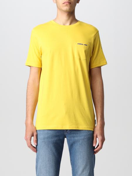 Save The Duck: T-shirt basic Save The Duck
