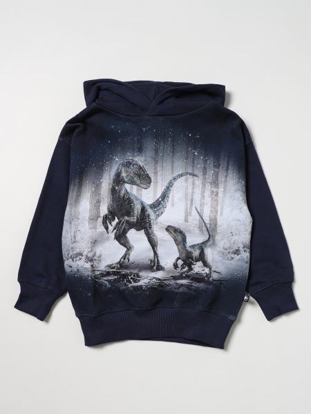 Kids' Molo: Matty Molo x Jurassic World sweatshirt with dinosaur print