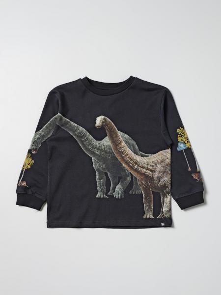 Rube Molo x Jurassic World jumper with dinosaur print