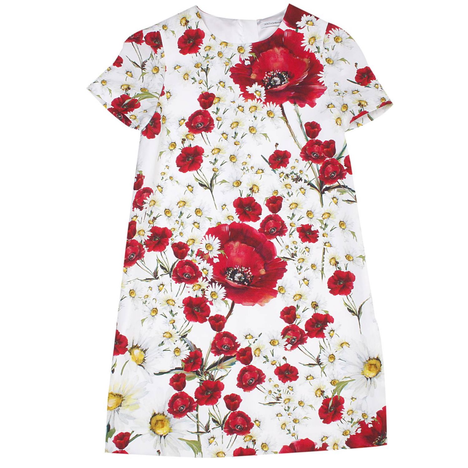 Дольче габбана детское платье с розами. Платье детское дольче. Detskoe dolce gabbana платье детское lemon. Dolce gabbana kids платья белое. Детские платья дольче габбана 2018.