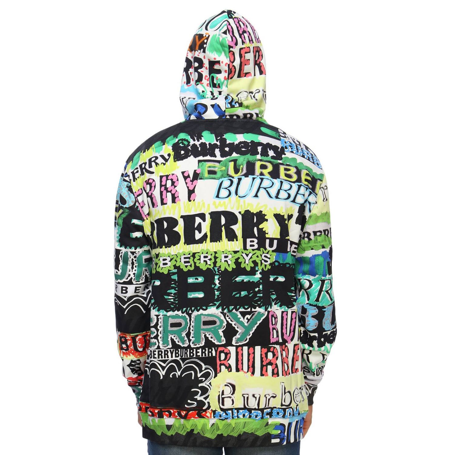 burberry colorful hoodie