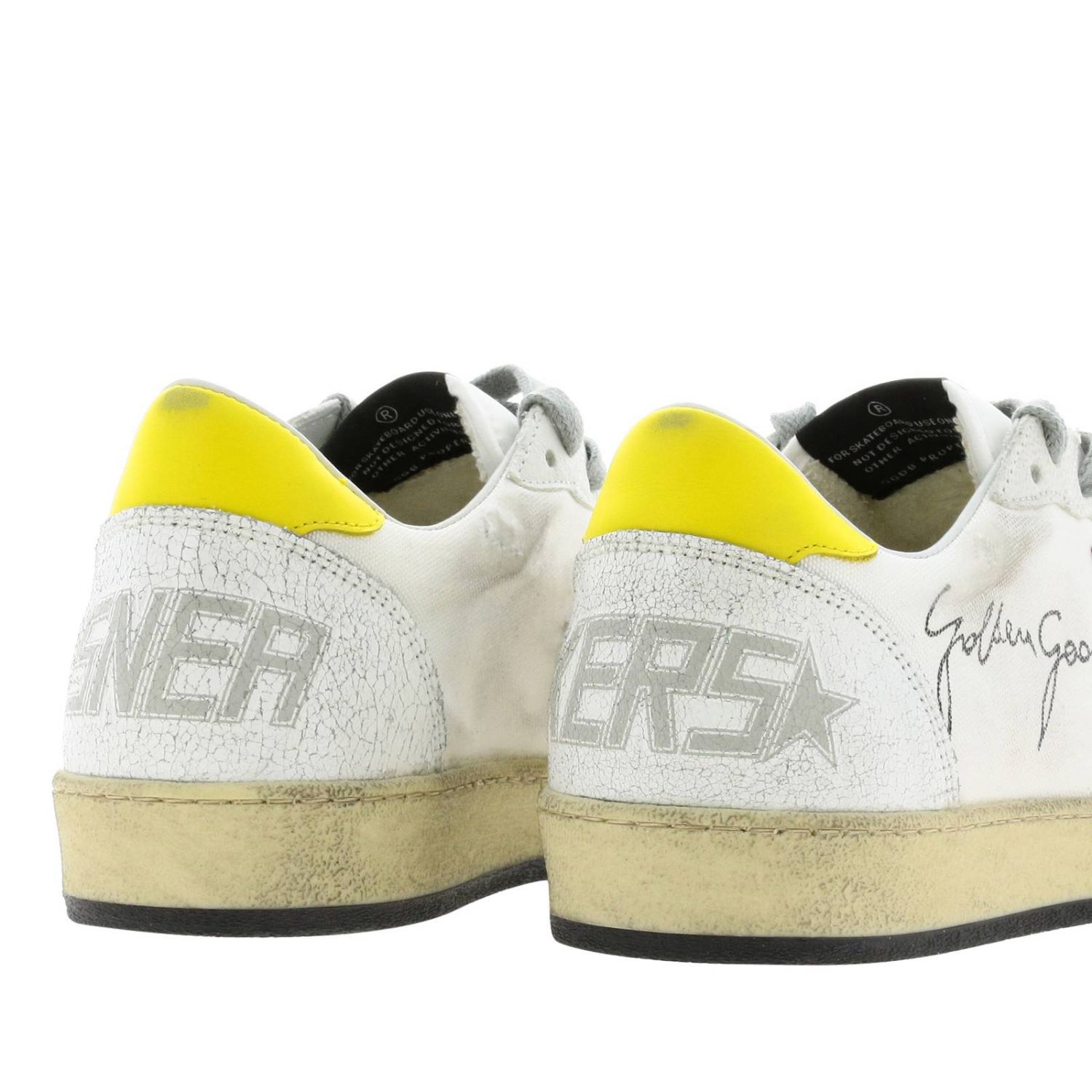canvas golden goose