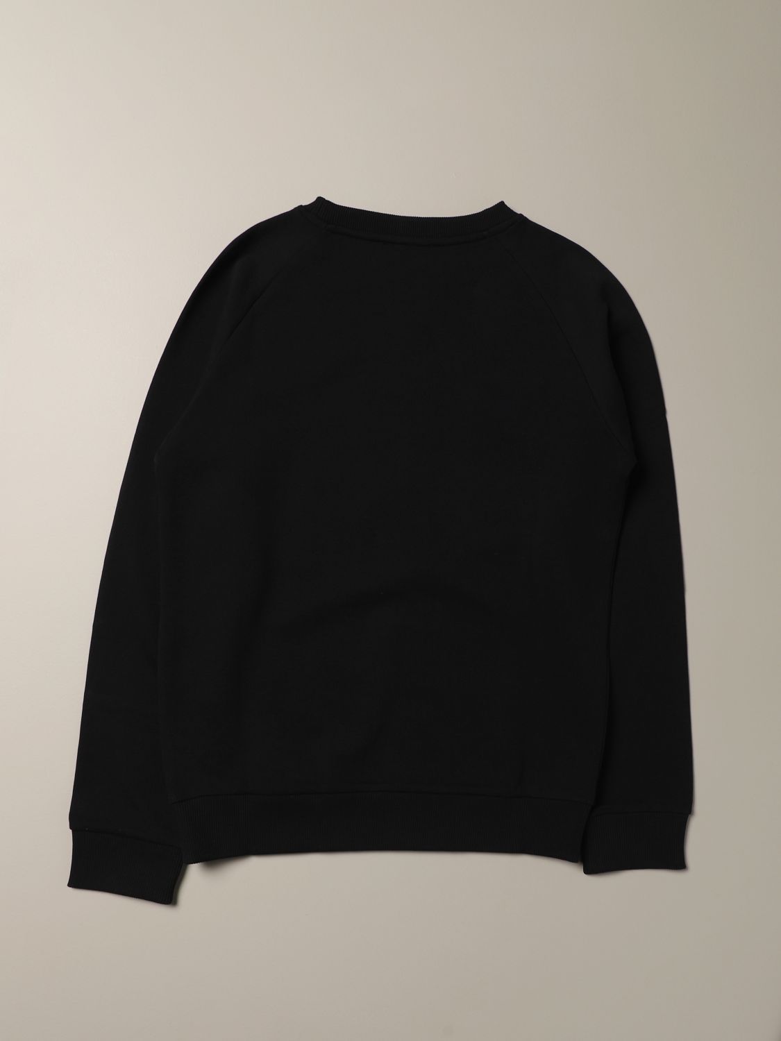 basic sweatshirt