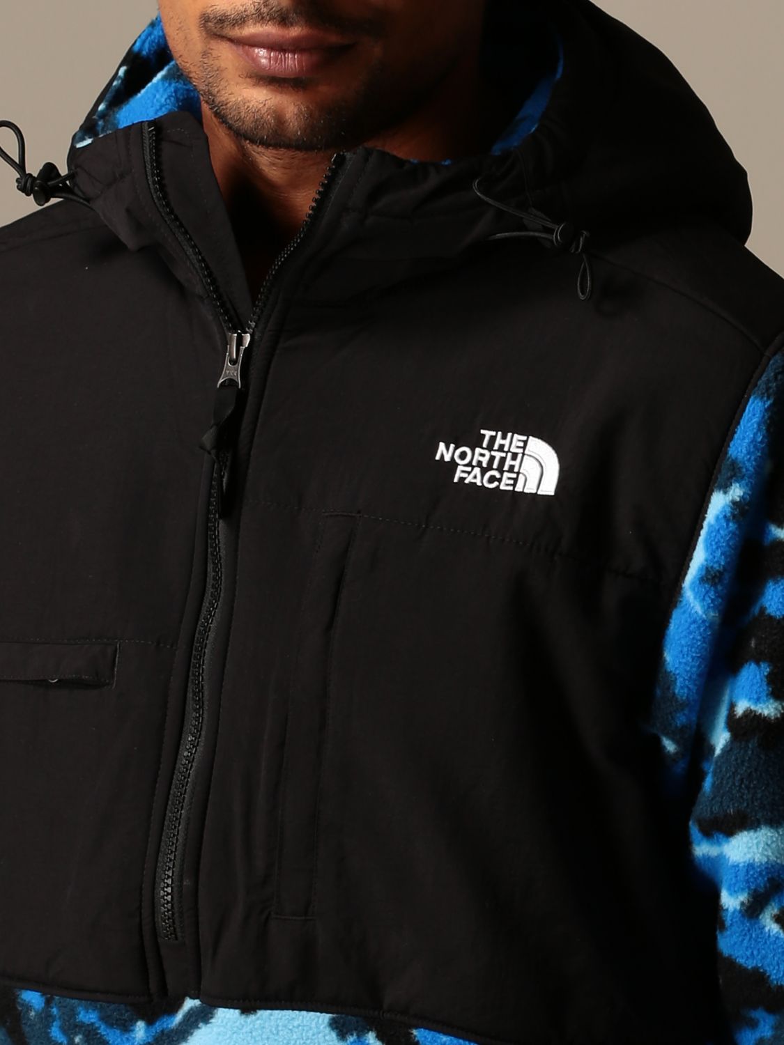 the north face n