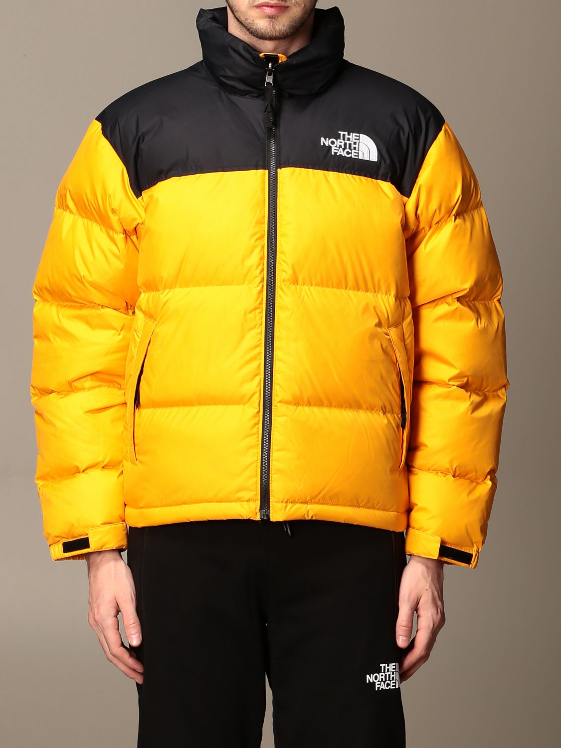 Jacket The North Face NF0A3C8D Giglio EN