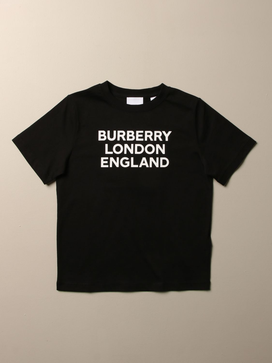 Burberry Logo T Shirt Shop, 51% OFF | campingcanyelles.com