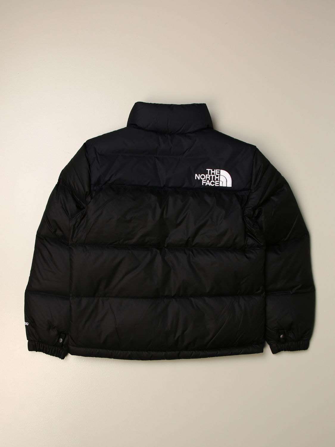 north face jacket two tone
