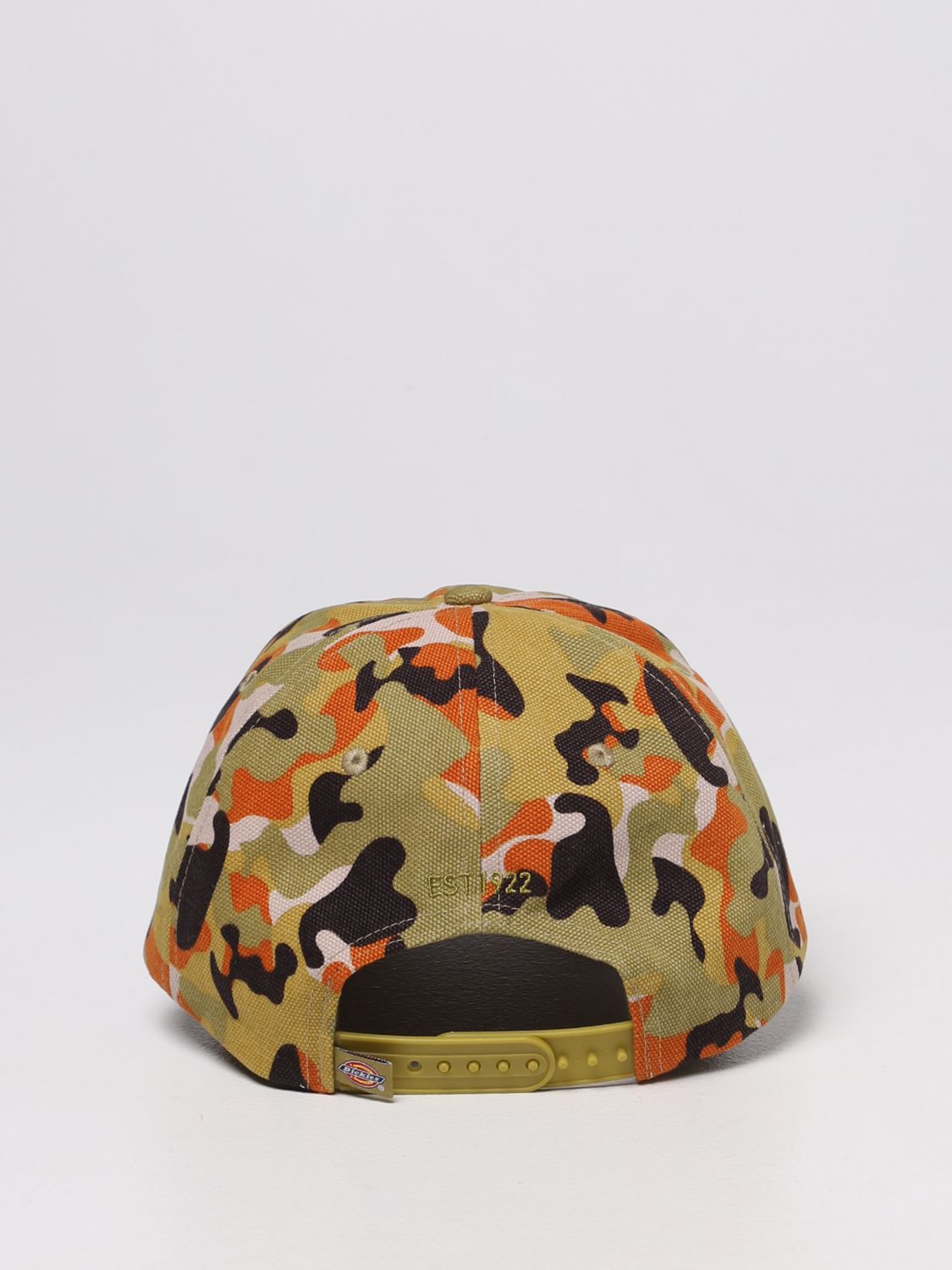Cappello Dickies: Cappello da baseball Dickies stampato marrone 3