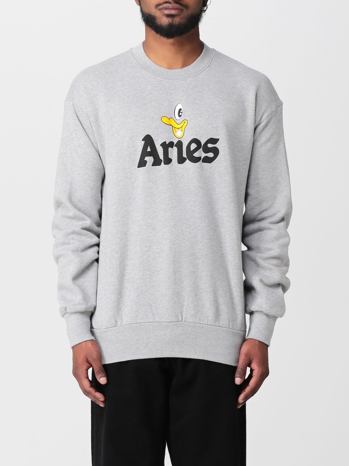 Aries Aye Duck Cotton Sweatshirt In Grey