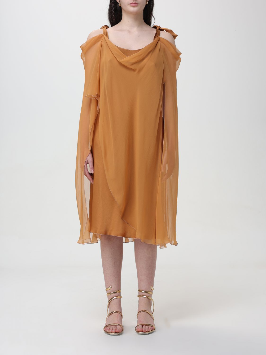 Alberta Ferretti Dress  Woman Color Brown In 棕色