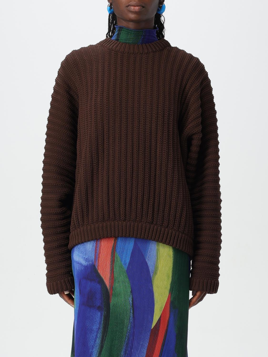 Sunnei Round Neck Sweater In Braun